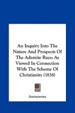 An Inquiry Into The Nature And Prospects Of The Adamite Race