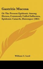 Gastritis Mucosa