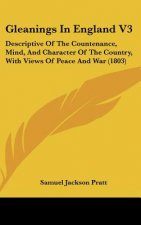 Gleanings In England V3