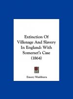Extinction Of Villenage And Slavery In England