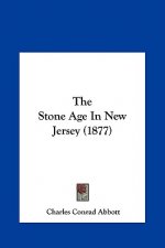 The Stone Age In New Jersey (1877)