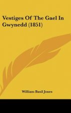 Vestiges Of The Gael In Gwynedd (1851)