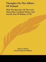 Thoughts On The Affairs Of Ireland