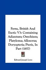 Ferns, British And Exotic V3
