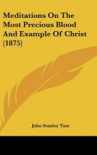 Meditations On The Most Precious Blood And Example Of Christ (1875)