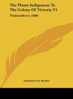The Plants Indigenous To The Colony Of Victoria V1