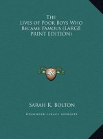 The Lives of Poor Boys Who Became Famous (LARGE PRINT EDITION)