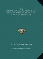 The Sarcophagus of Anchnesraneferab Queen of Ahmes II King of Egypt (LARGE PRINT EDITION)