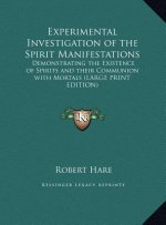 Experimental Investigation of the Spirit Manifestations