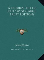 A Pictorial Life of Our Savior (LARGE PRINT EDITION)