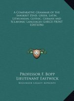 A Comparative Grammar of the Sanskrit Zend, Greek, Latin, Lithuanian, Gothic, German and Sclavonic Languages (LARGE PRINT EDITION)