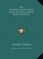 The Chronicles Of Pathan Kings Of Delhi (LARGE PRINT EDITION)