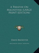A Treatise On Magnetism (LARGE PRINT EDITION)
