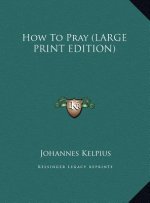 How To Pray (LARGE PRINT EDITION)