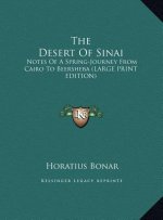 The Desert Of Sinai
