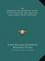 The Mormons Or Latter-Day Saints In The Valley Of The Great Salt Lake (LARGE PRINT EDITION)