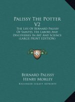 Palissy The Potter V2