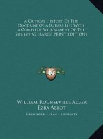 A Critical History Of The Doctrine Of A Future Life With A Complete Bibliography Of The Subject V2 (LARGE PRINT EDITION)
