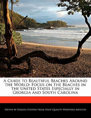 A Guide to Beautiful Beaches Around the World: Focus on the Beaches in the United States Especially in Georgia and South Carolina