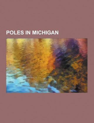 Poles in Michigan: Hamtramck, Michigan, Krakow Township, Michigan, National Polish-American Sports Hall of Fame, Our Lady of Mount Carmel