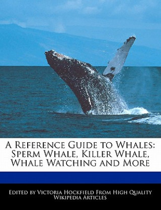 A Reference Guide to Whales: Sperm Whale, Killer Whale, Whale Watching and More