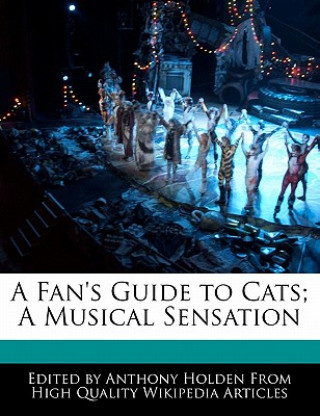 An Analysis of the Musica Cats