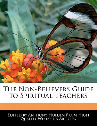 The Non-Believers Guide to Spiritual Teachers