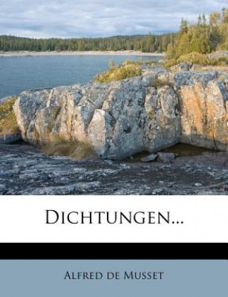 Dichtungen...