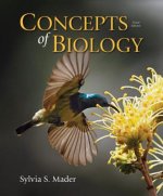 Loose Leaf Concepts of Biology with Connect Plus Access Card
