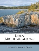 Leben Michelangelo's, zweiter Theil