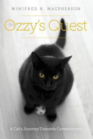 Ozzy's Quest: A Cat's Journey Towards Contentment