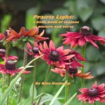 Prairie Light: a little book of seasons in picture and verse