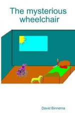 Mysterious Wheelchair