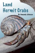 Land Hermit Crabs