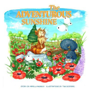 Adventurous Sunshine