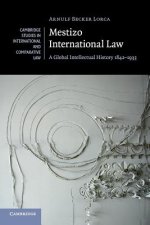 Mestizo International Law