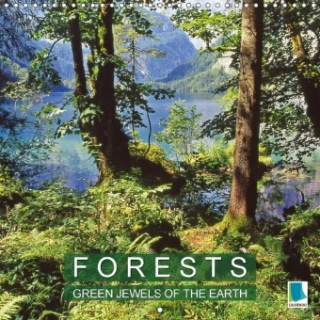 Forests - Green jewels of the earth (Wall Calendar 2017 300 × 300 mm Square)