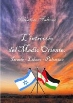 L'Intreccio Del Medio Oriente: Israele - Libano - Palestina
