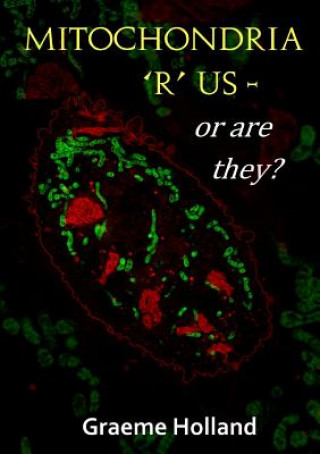 Mitochondria 'R' Us - or are They?
