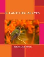 Canto De Las Aves