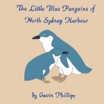 Little Blue Penguins of North Sydney Harbour