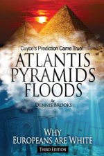 Atlantis Pyramids Floods