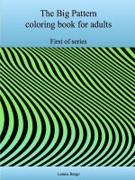 The First Big Pattern Coloring Book for Adults