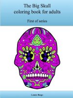 The First Big Skull Coloring Book for Adults