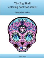 The Second Big Skull Coloring Book for Adults