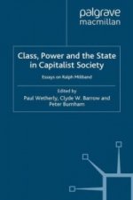 Class, Power and the State in Capitalist Society