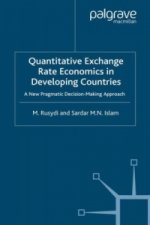Quantitative Exchange Rate Economics in Developing Countries