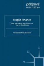 Fragile Finance
