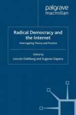 Radical Democracy and the Internet