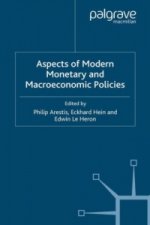 Aspects of Modern Monetary and Macroeconomic Policies